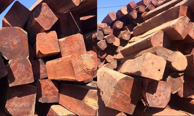 Tất tần tật về gỗ căm xe: Đặc điểm, ứng dụng & bảng giá mới nhất