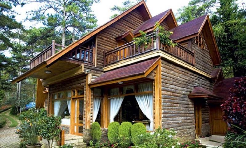 Gỗ lim: Giá trị, ứng dụng và báo giá mới nhất 2025