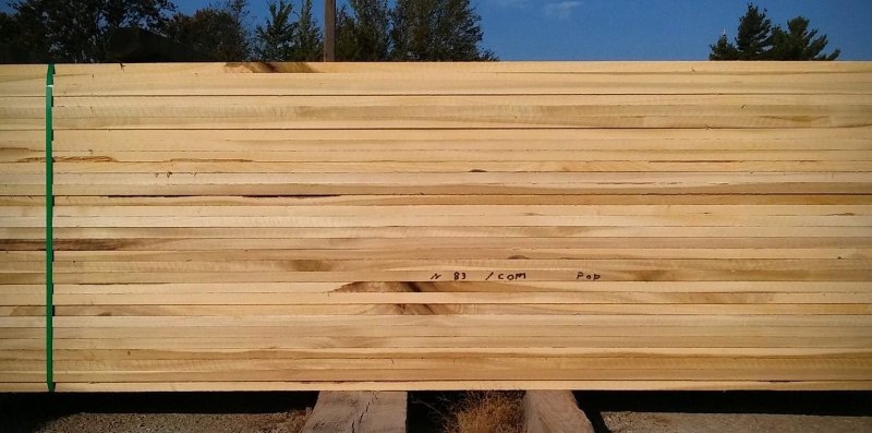 Tìm hiểu gỗ sồi trắng: Đặc điểm và ứng dụng