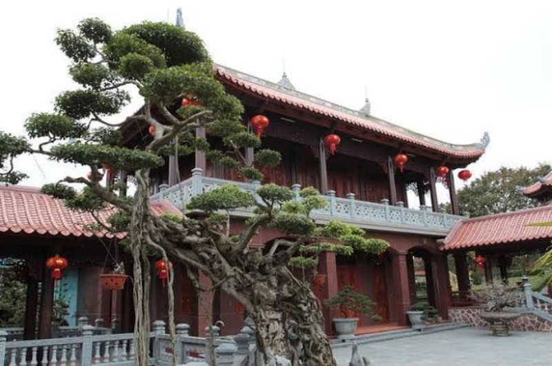 Hạng mục biệt phủ gỗ