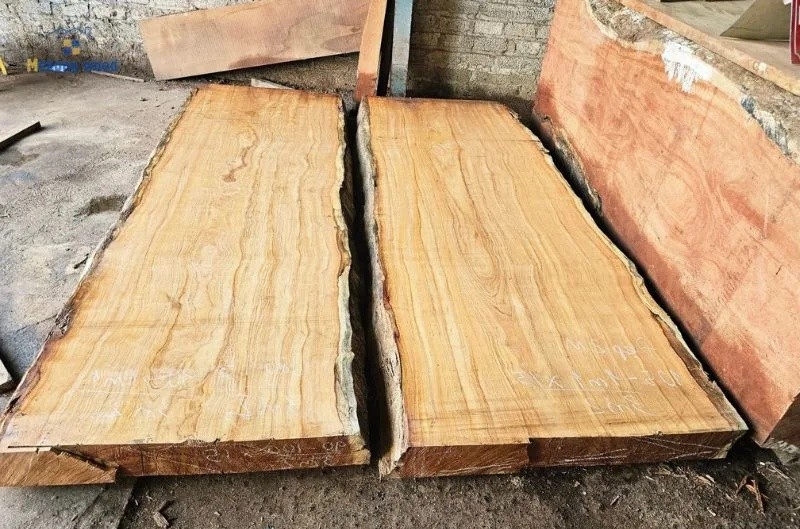 Các loại gỗ nhóm 1: Đặc điểm nhận biết, ứng dụng và bảng giá