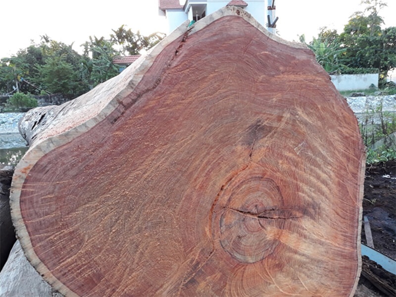 Gỗ nhóm 1 Gỗ nhóm 1