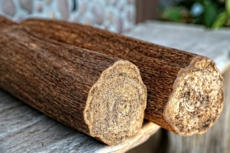 Loại gỗ thuộc nhóm 1 Loại gỗ thuộc nhóm 1
