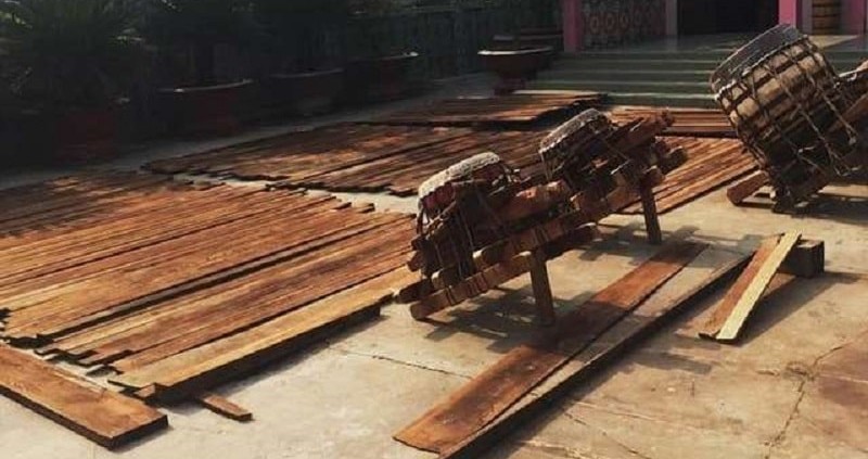 Cách xử lý gỗ không bị mối mọt Cách xử lý gỗ không bị mối mọt