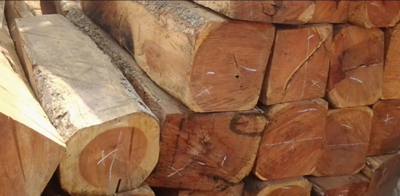 Gỗ gụ Lào Gỗ gụ Lào
