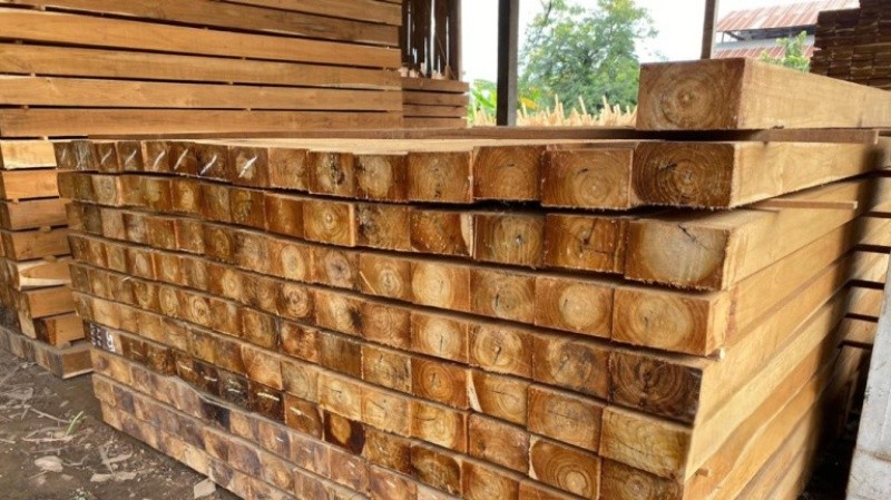 Gỗ teak là gỗ gì? Đặc điểm và ứng dụng trong xây dựng nhà gỗ