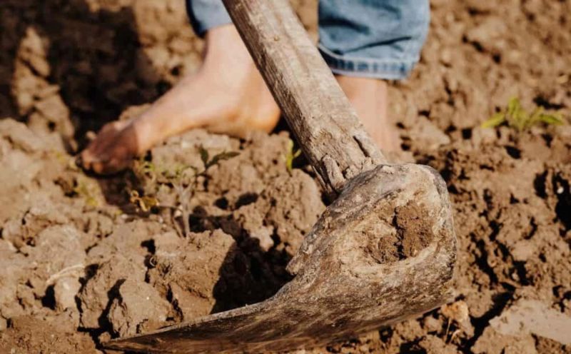 Lễ cúng động thổ xây nhà Lễ cúng động thổ xây nhà