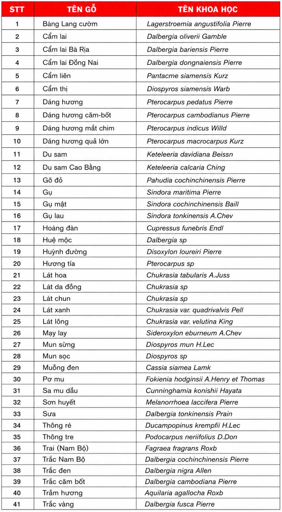 Phân loại các nhóm gỗ ở Việt Nam Phân loại các nhóm gỗ ở Việt Nam