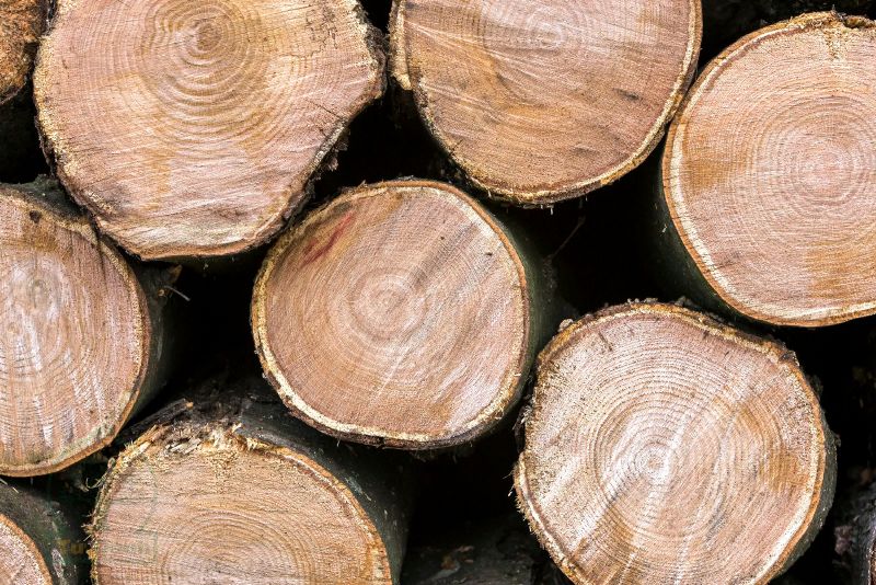 Phân loại nhóm gỗ Việt Nam Phân loại nhóm gỗ Việt Nam