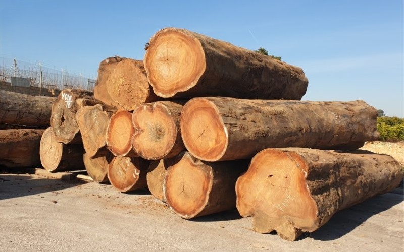 Phân loại nhóm gỗ Phân loại nhóm gỗ