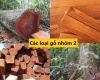 Gỗ nhóm 2 là gì? Danh sách các loại gỗ nhóm 2 tại Việt Nam