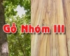 Gỗ nhóm 3 là gì? Tìm hiểu các loại gỗ nhóm 3 và cách sử dụng