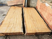 Các loại gỗ nhóm 1: Đặc điểm nhận biết, ứng dụng và bảng giá