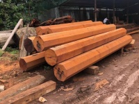 Cột nhà gỗ là gì? Cách chọn gỗ làm cột nhà bền đẹp