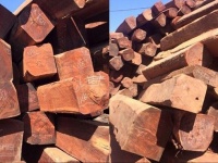Gỗ căm xe có tốt không? Đặc điểm, ứng dụng & bảng giá