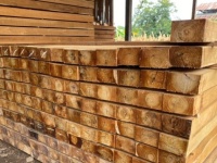 Gỗ teak là gỗ gì? Đặc điểm và ứng dụng trong xây dựng nhà gỗ